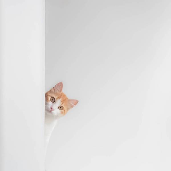 什么是爱你?就是你看他时他也在看你