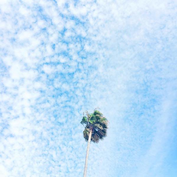 你没礼貌,我很介意