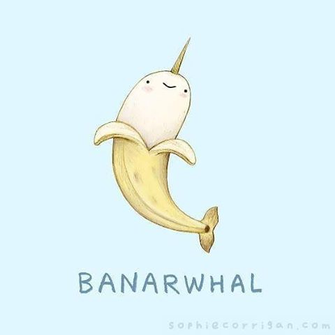 有哪些让你笑到肾抽筋的段子?