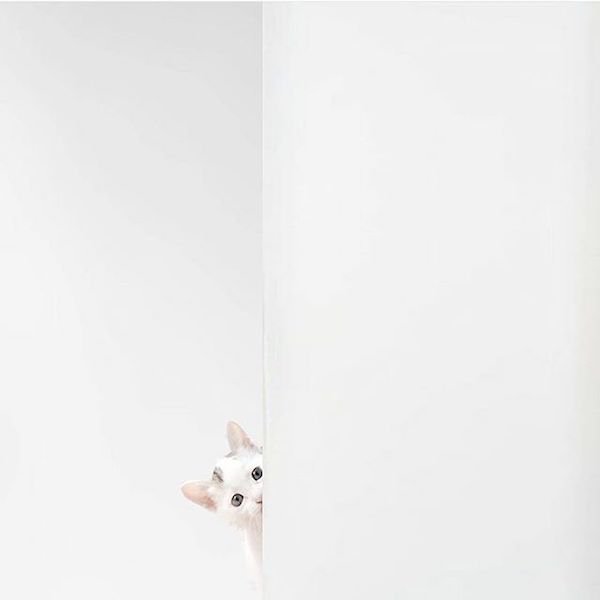 为什么要生二胎?这是我见过最美的答案