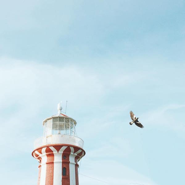 人和人的感情,都是这么变淡的