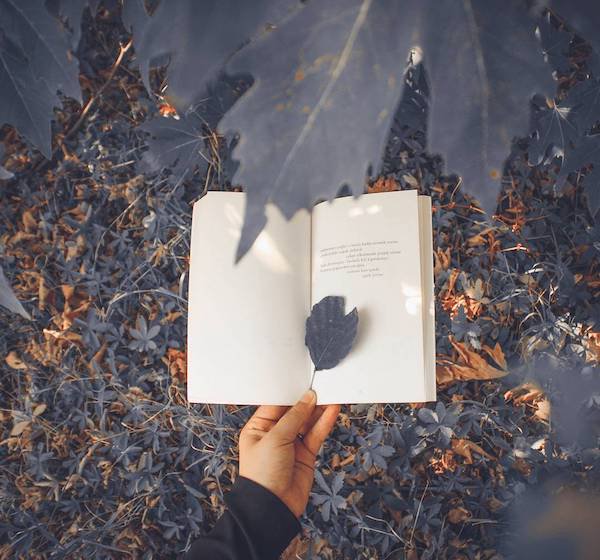 情绪不佳时的说话方式,最见一个人的教养