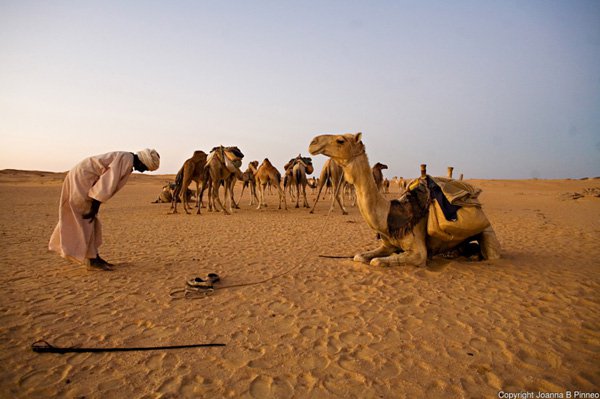 Joanna B Pinneo纪实摄影作品