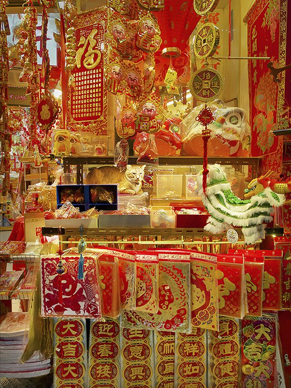 Marcel Heijnen摄影作品:香港的「铺头猫」