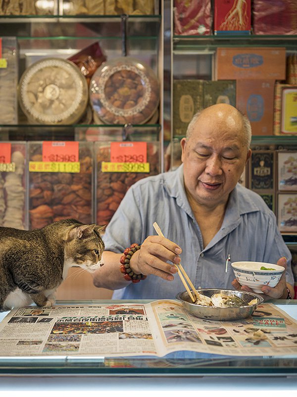 Marcel Heijnen摄影作品:香港的「铺头猫」