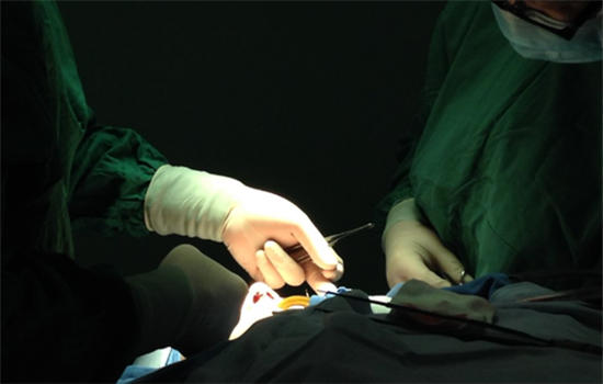 达拉斯隆鼻步骤 解析达拉斯隆鼻详细过程