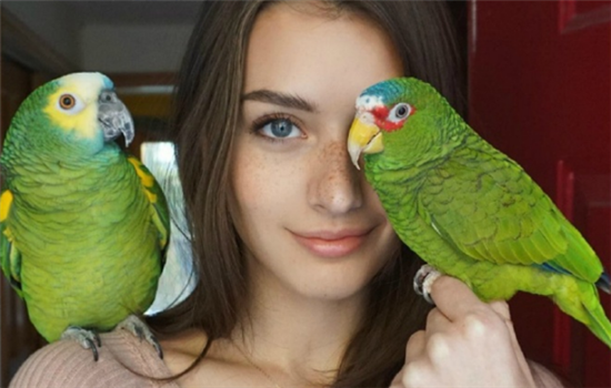 切眉手术后怎样消肿快 尤其是第二个方法最让人想不到