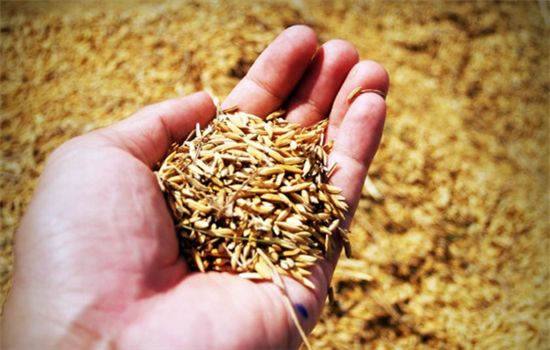 切眉后吃什么恢复的快 这6种食物切眉后一定要吃