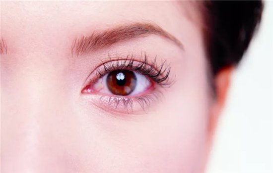 眉上切口提眉图片 切眉前不可不看的图片