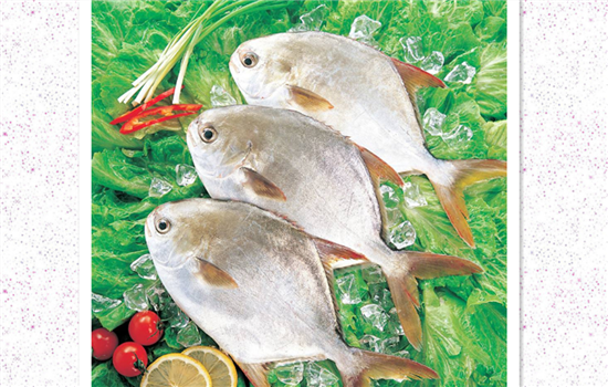 全切双眼皮可以吃鱼吗 告诉你吃那一种鱼对伤口最好