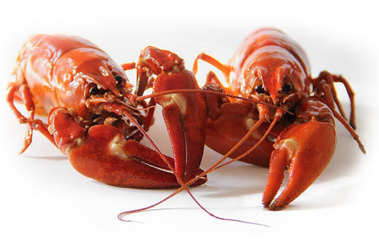 小v线提升后注意什么 做好9件小事提拉效果更好