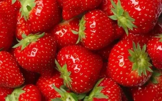 夏天吃什么食物减肥 这些食物越吃越瘦