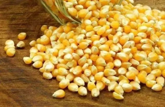 夏天吃什么食物减肥 这些食物越吃越瘦