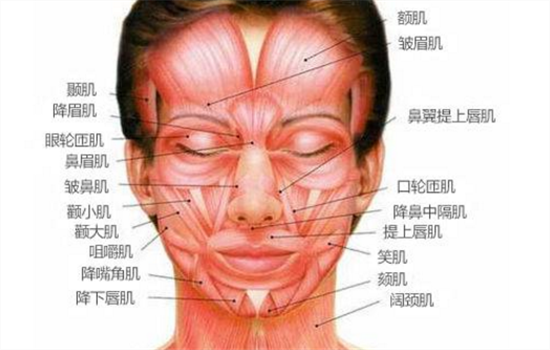 瘦脸针会让皮肤松弛吗 皮肤变松弛其实是年龄增长惹的祸