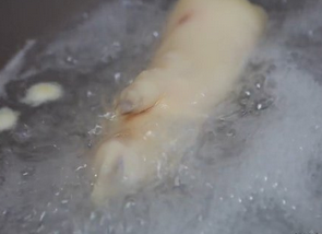 卤猪蹄的家常做法 卤猪蹄自己怎么做好吃