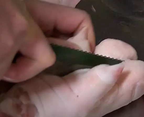 卤猪蹄的家常做法 卤猪蹄自己怎么做好吃