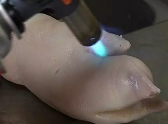 卤猪蹄的家常做法 卤猪蹄自己怎么做好吃