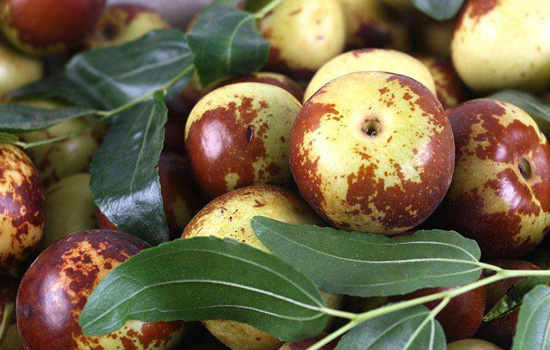 冬枣的皮可以吃吗 冬枣的皮能吃吗