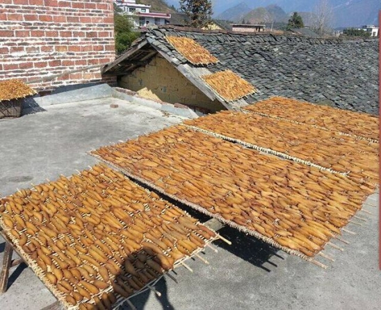 自家如何晒地瓜干 晒地瓜干怎么晒窍门