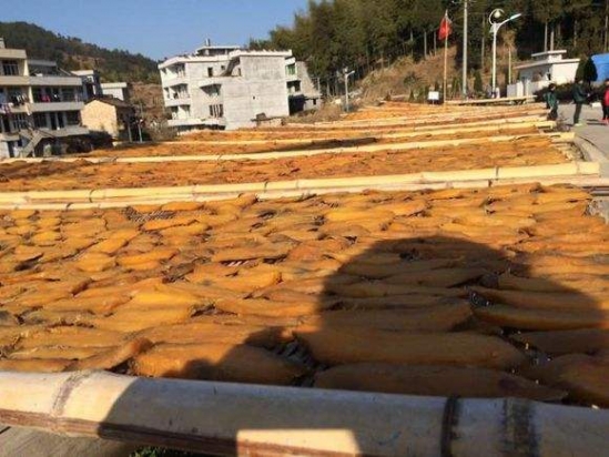 自家如何晒地瓜干 晒地瓜干怎么晒窍门