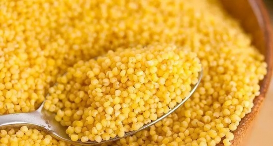 哪些主食适合减肥