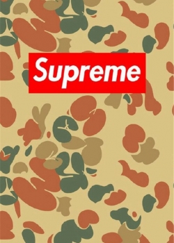 欧美潮牌superme个性另类高清手机桌面壁纸下载