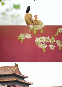 故宫系列唯美手机壁纸图片