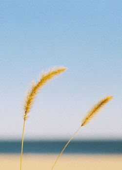 清新海边沙滩风景手机壁纸