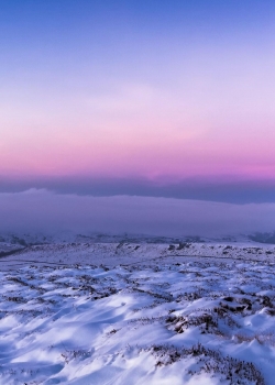 清新唯美雪景图手机壁纸