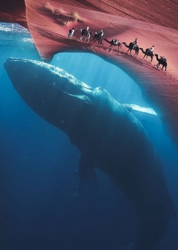 抽象风景高清手机壁纸图片