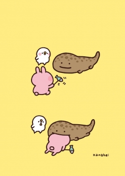 卡娜赫拉高清手机壁纸图片