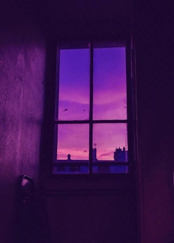 紫色风景个性高清手机壁纸图片