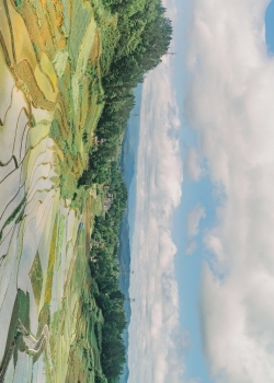 森系小清新风景手机壁纸图片