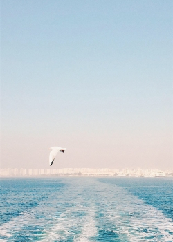 小清新唯美海边风景高清手机壁纸