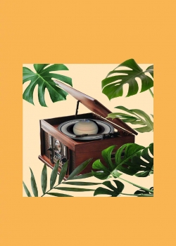 创意简约插画手机壁纸图片