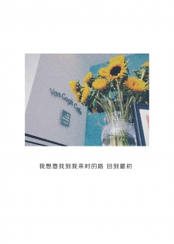 情话语录高清手机壁纸图片