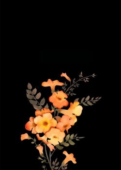 创意手绘植物插画高清手机壁纸