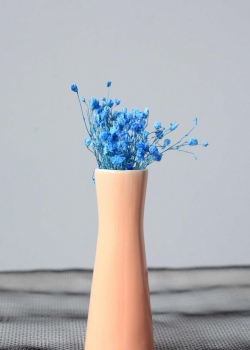 小清新唯美花卉静物图片手机壁纸