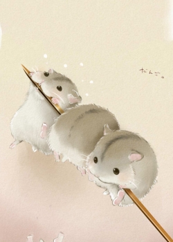 可爱的仓鼠手绘高清手机壁纸