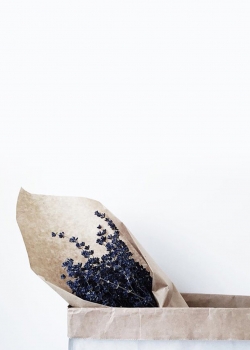 小清新唯美静物手机壁纸