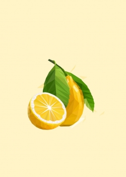 唯美简约水果插画高清手机壁纸