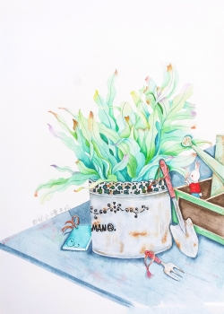 小清新文艺水彩手绘手机壁纸