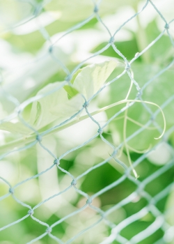 小清新唯美高清手机图片壁纸