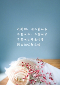 精选高清文字手机壁纸图片