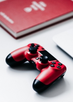 唯美静物主题手机壁纸