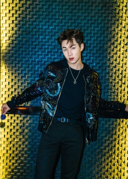 刘宪华帅气舞台照图片