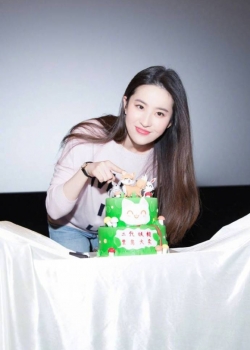 刘亦菲电影《二代妖精》路演发布会现场性感写真图片