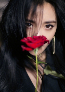 杨幂成熟魅力写真手机壁纸