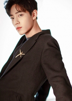 肖战清爽帅气高清高清手机壁纸