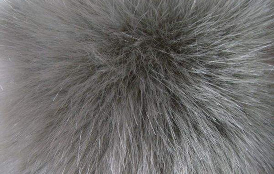 棉袄为什么叫派克服 派克服与棉袄的不同之处